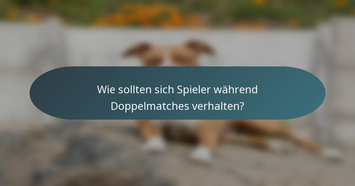 Wie sollten sich Spieler während Doppelmatches verhalten?